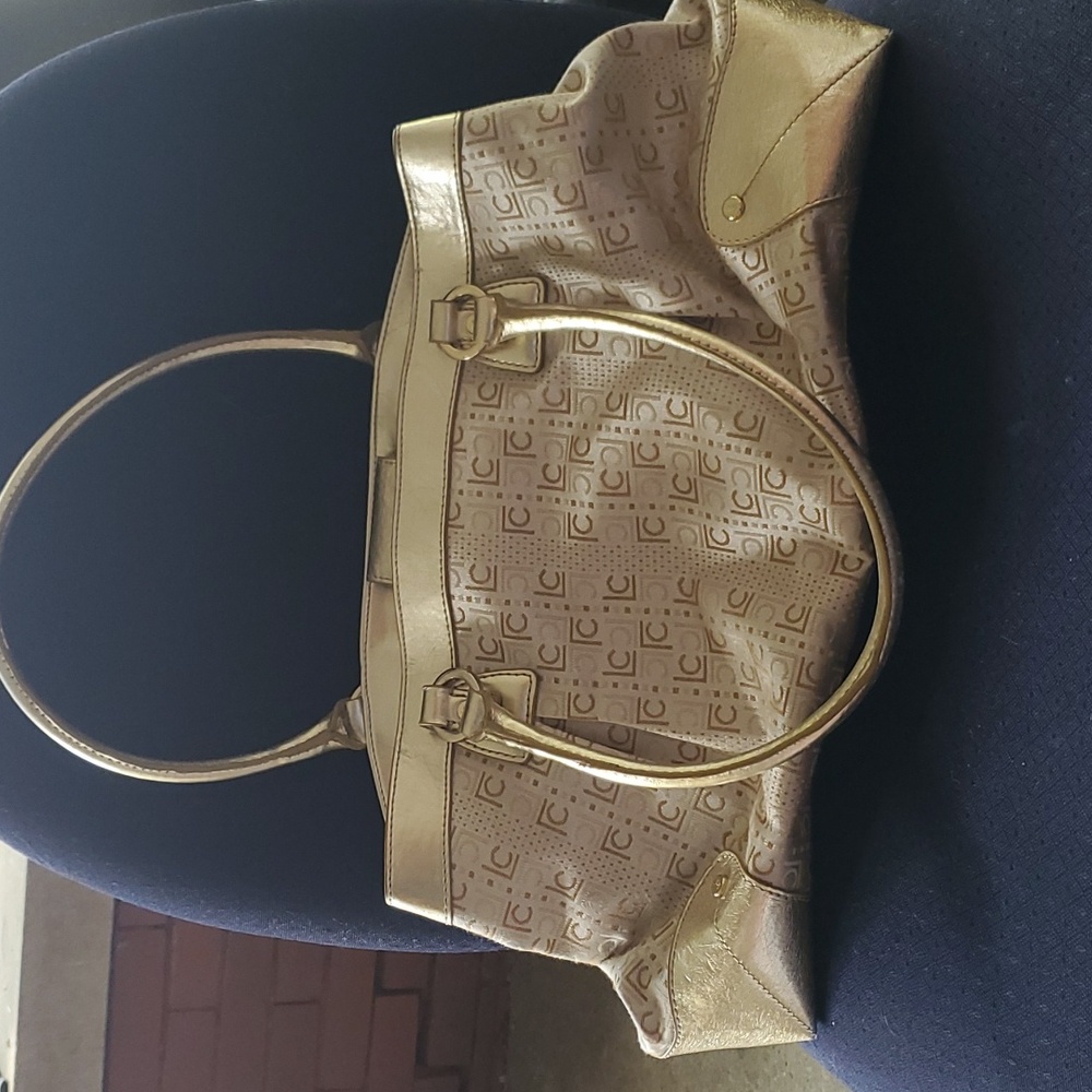 Liz Claiborne bag